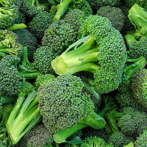 «POLTINO» брокколи