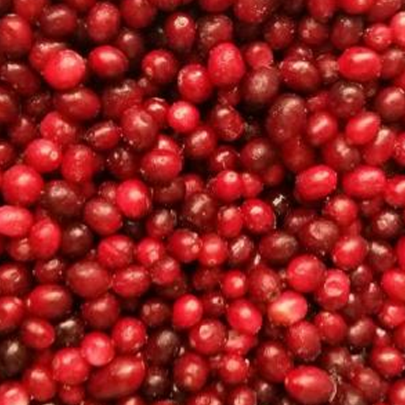 «КРАСКИ ЛЕТА» клюква садовая