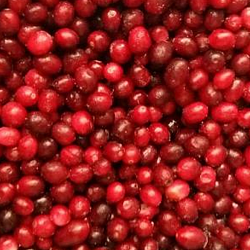 «КРАСКИ ЛЕТА» клюква садовая